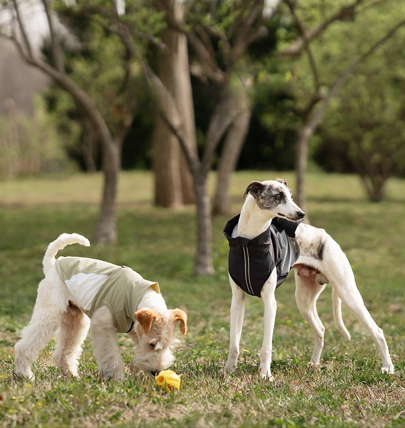 Anti-UV Summer Pet Clothes