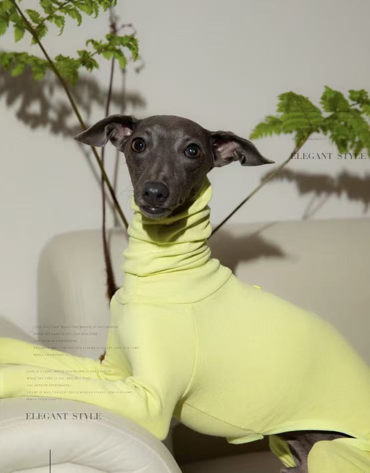 Pet Autumn Winter Base Layer Clothes