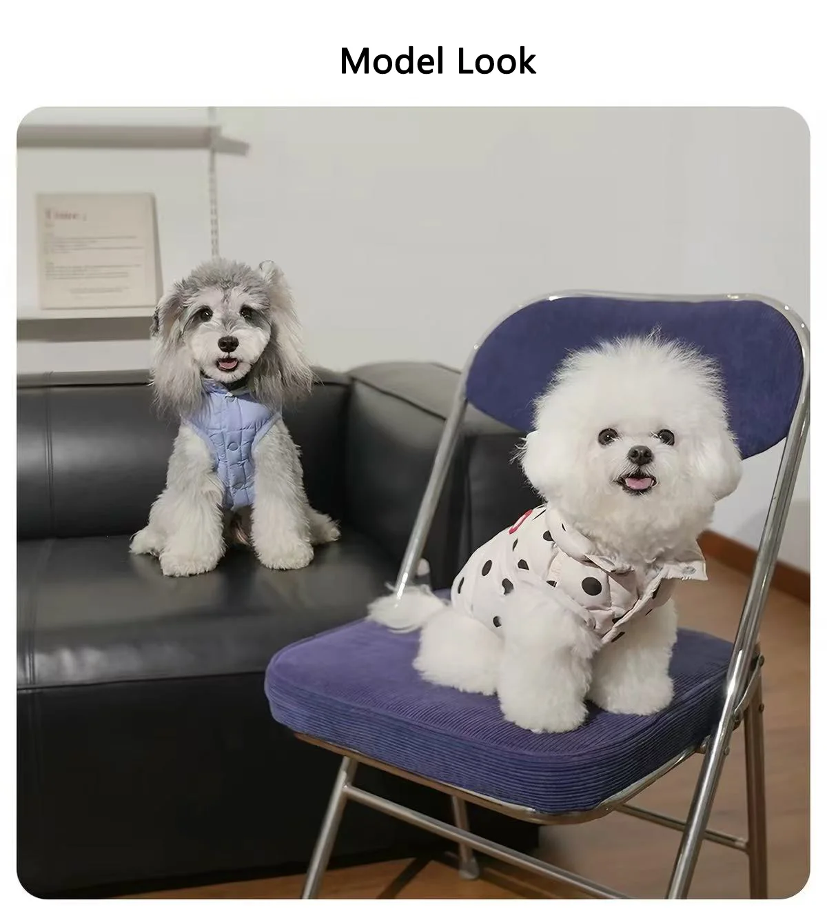 Puffy Reversible Padded Pet Coat