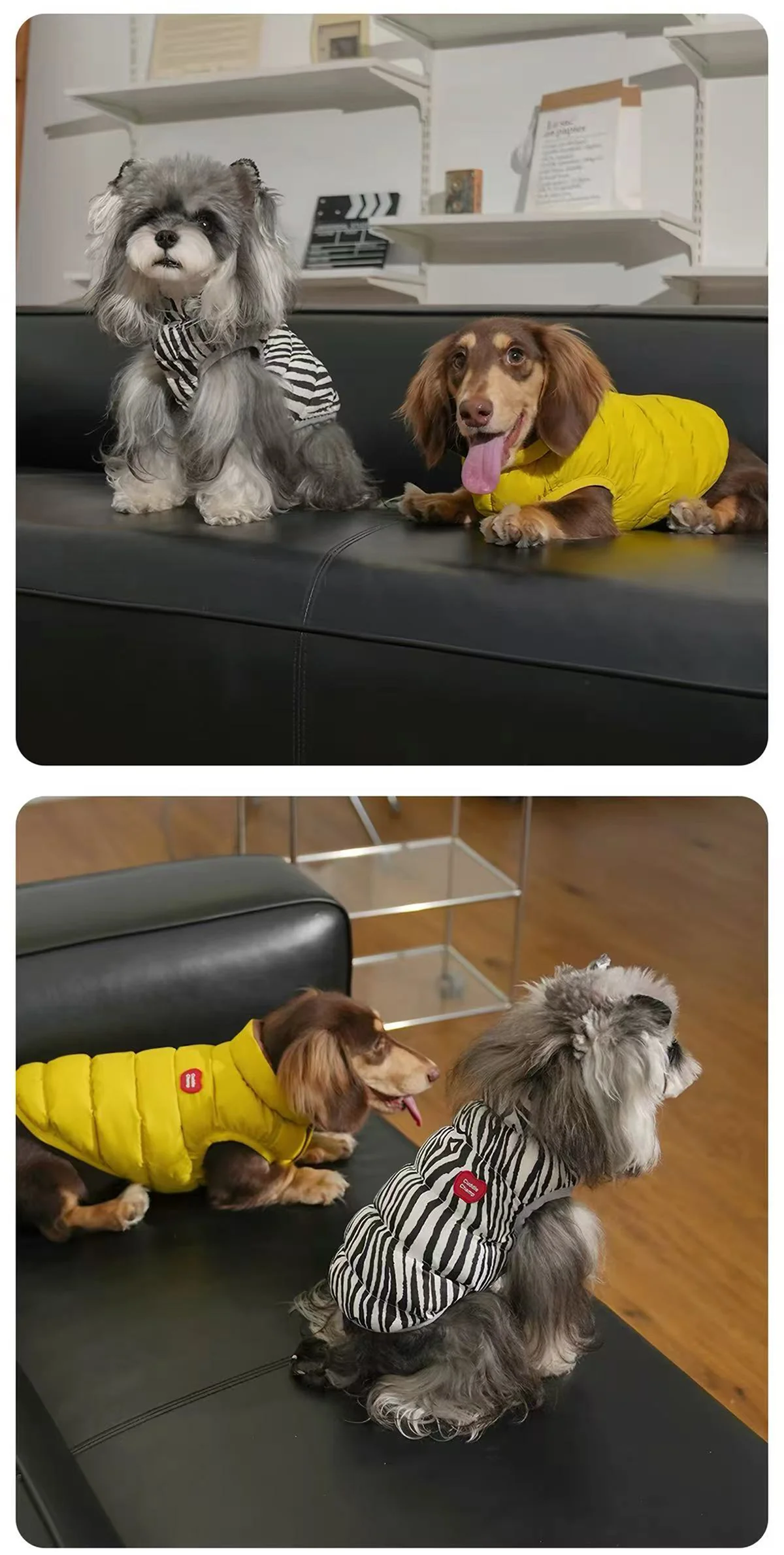 Puffy Reversible Padded Pet Coat