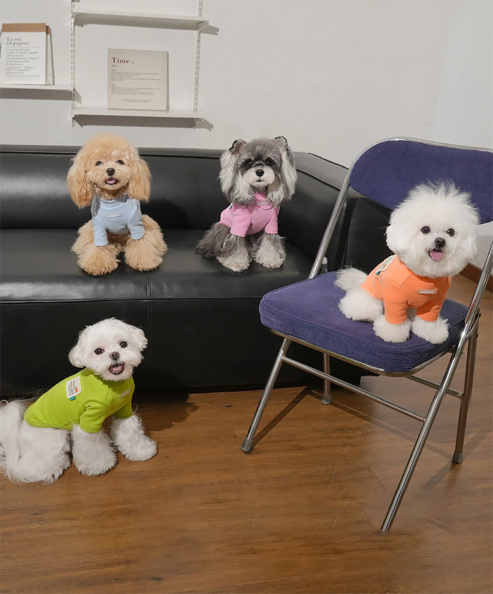 Graffiti Two‑legged Base Layer Pet Fall Winter Shirt