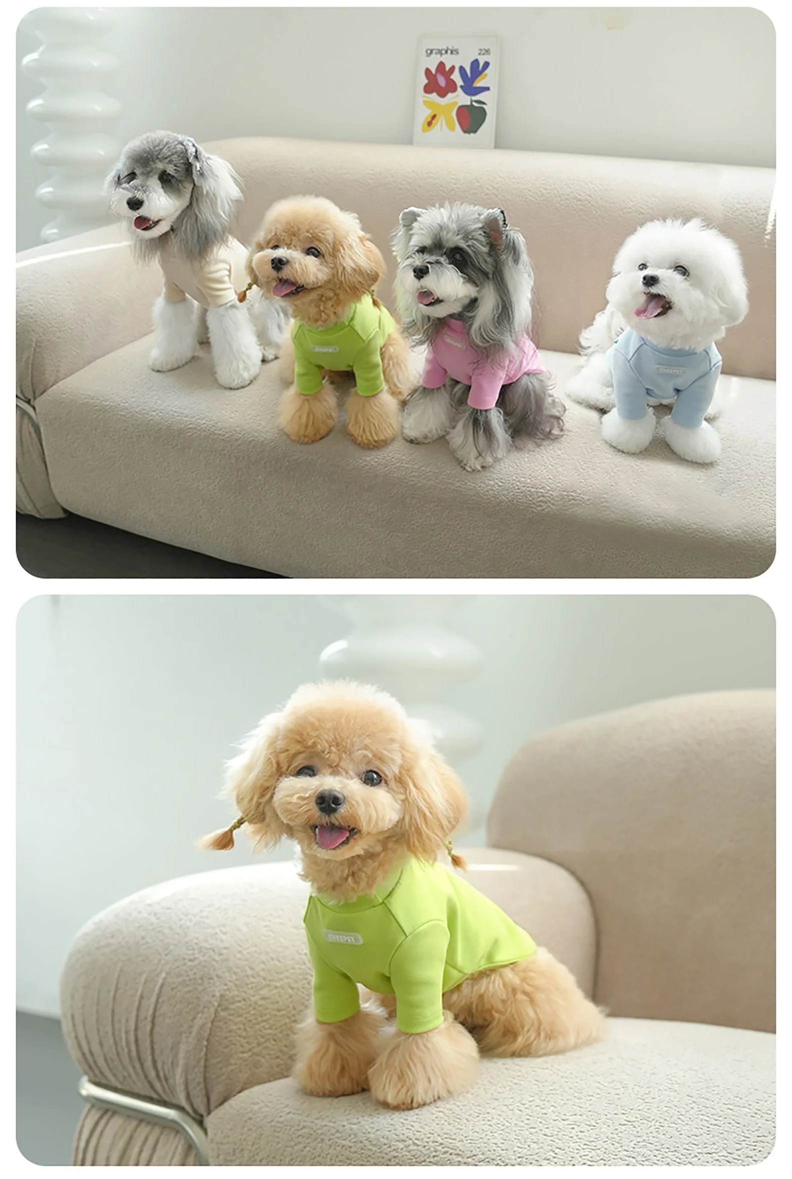 Graffiti Two‑legged Base Layer Pet Fall Winter Shirt