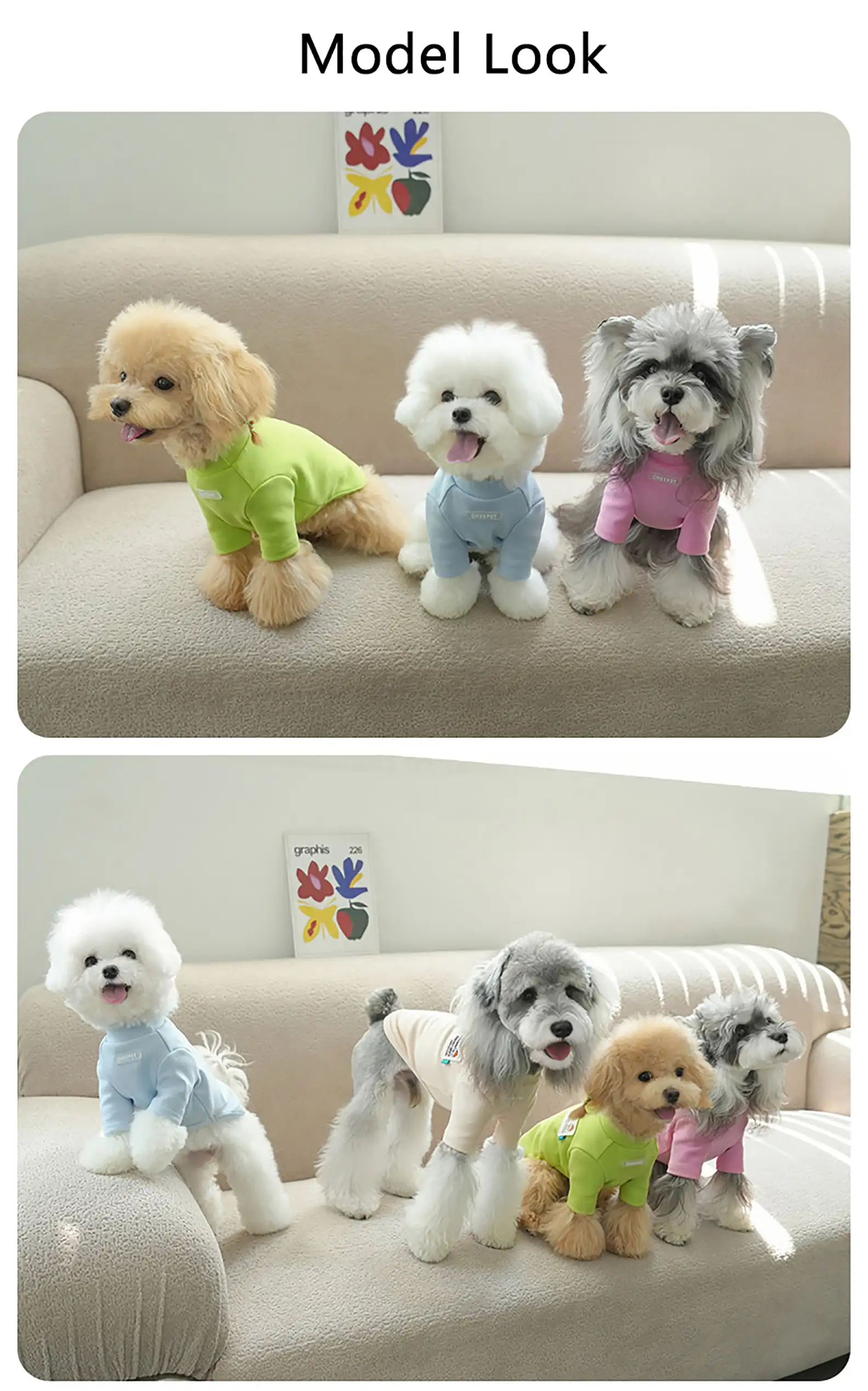 Graffiti Two‑legged Base Layer Pet Fall Winter Shirt