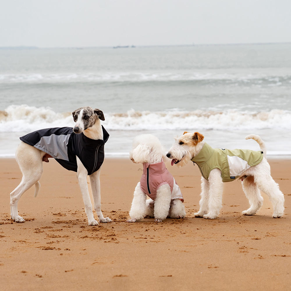 Customizable Dog High Neck Vest Lightweight Breathable Mesh Dog Clothes Anti-UV Summer Pet Outfit with Side Zipper