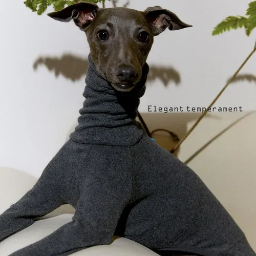 Cotton Turtleneck Warm Dog Base Layer for Autumn Winter