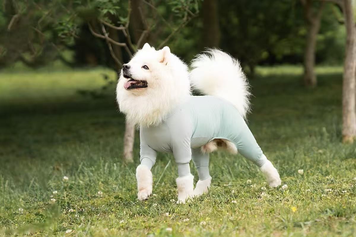 Adjustable Eco-Friendly Fiber Dog Coat for Medium/Large Dogs-High-Necked Winter Warm Anti-Freezing All-Season Cooling