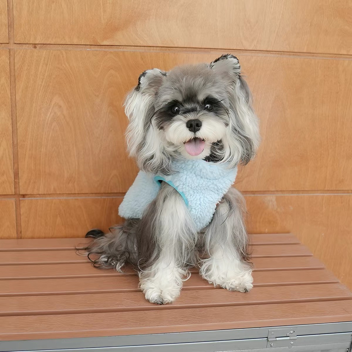 Casual Reversible Cotton Coat For Dogs - Image 2