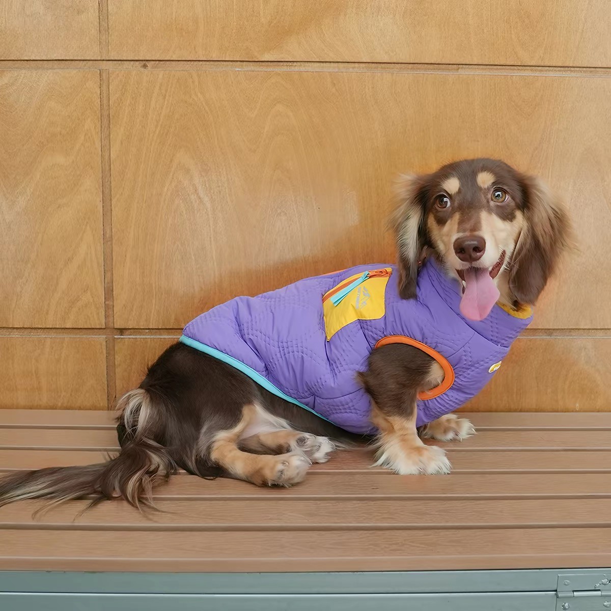 Casual Reversible Cotton Coat For Dogs - Image 3