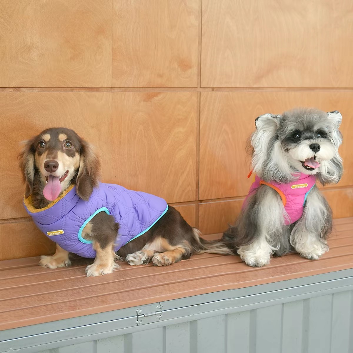 Casual Reversible Cotton Coat For Dogs - Image 5