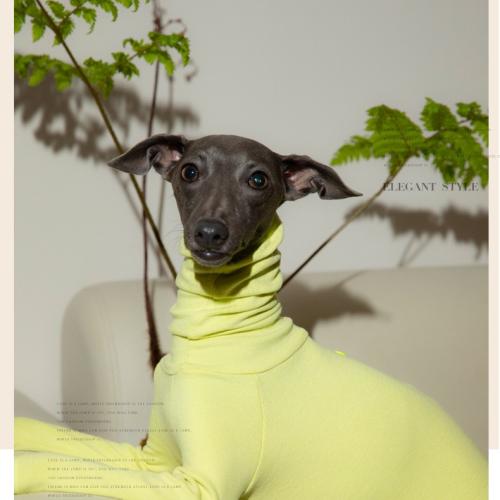 Dog Turtleneck Four-Legged Jumpsuit, Cotton Warm Pet Autumn Winter Base Layer Clothes 