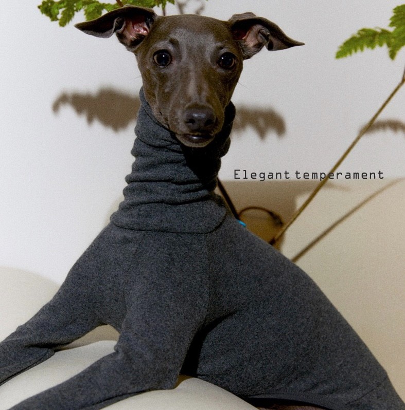 Dog Turtleneck Four-Legged Jumpsuit, Cotton Warm Pet Autumn Winter Base Layer Clothes 
