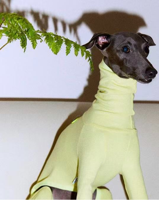 Dog Turtleneck Four-Legged Jumpsuit, Cotton Warm Pet Autumn Winter Base Layer Clothes 
