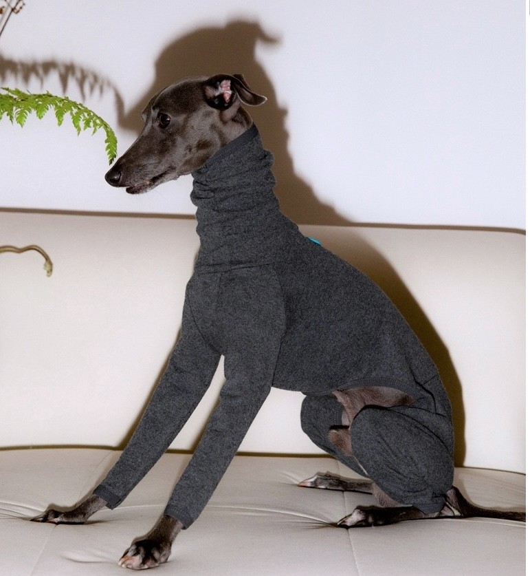 Dog Turtleneck Four-Legged Jumpsuit, Cotton Warm Pet Autumn Winter Base Layer Clothes 