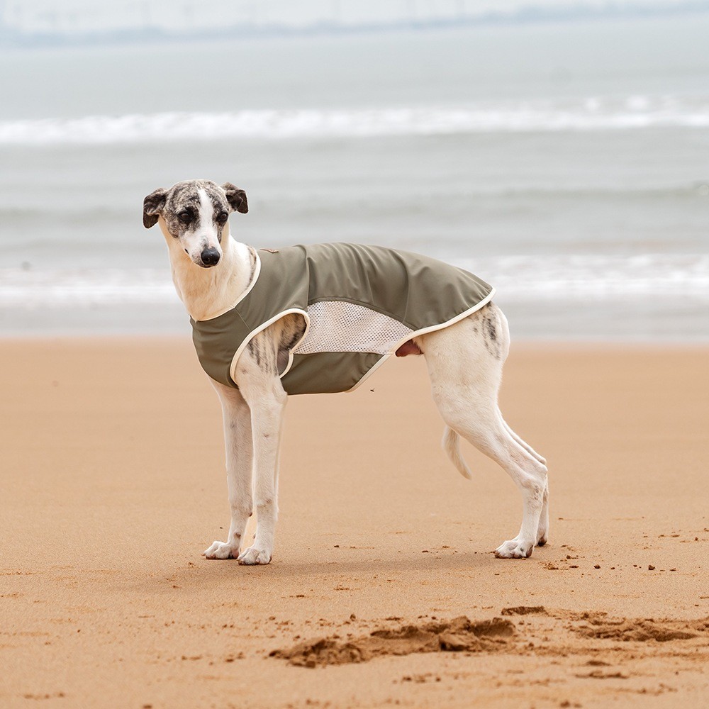 Customizable Pet Summer Cool Mesh Sleeveless Round Neck Vest Breathable Dog Tank Top