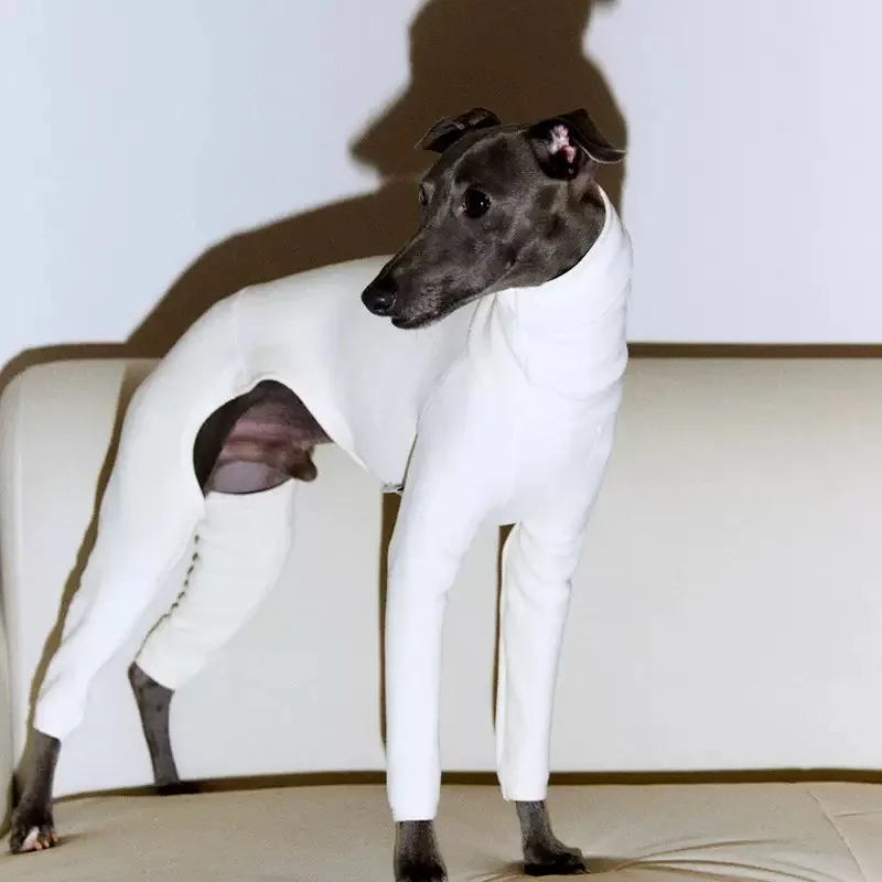 Warm Cotton Pet Jumpsuit for Dogs - Image 4