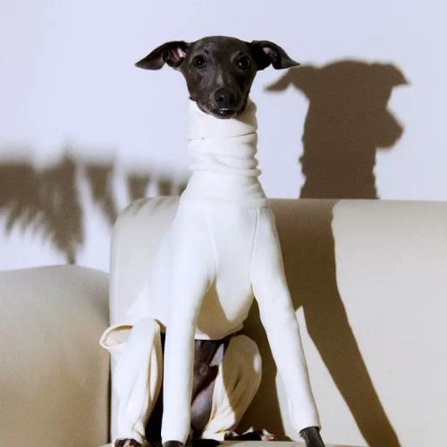 Dog turtleneck jumpsuit,warm cotton pet onesie,four-legged dog base layer,skin-friendly dog winter clothes