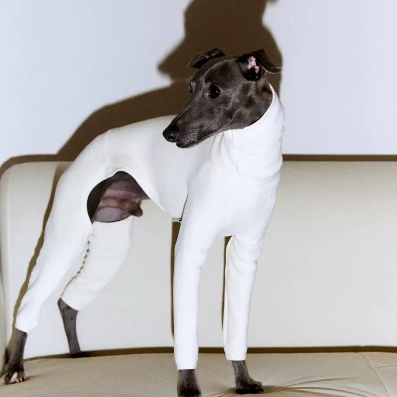 Dog turtleneck jumpsuit,warm cotton pet onesie,four-legged dog base layer,skin-friendly dog winter clothes
