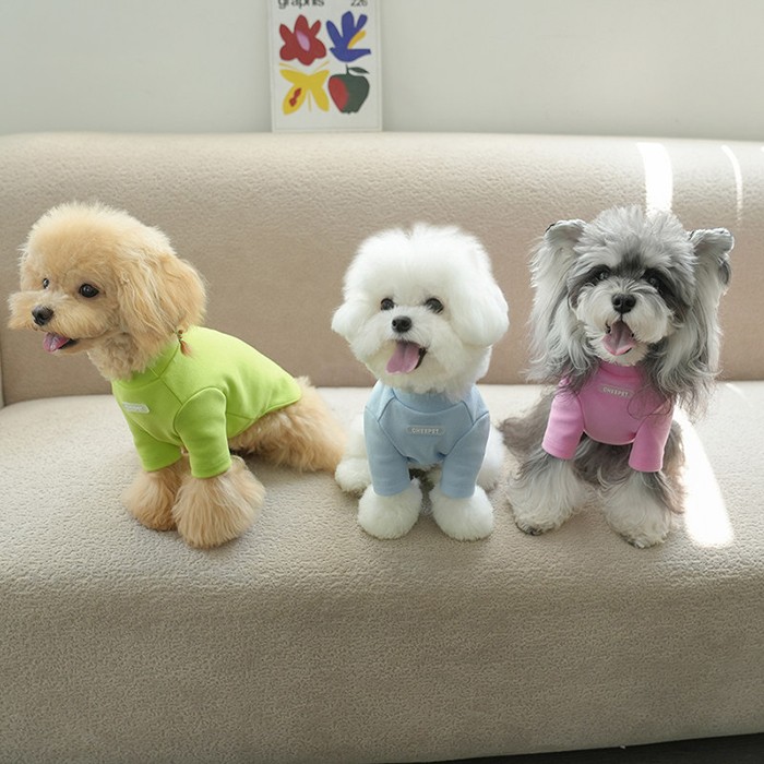 Graffiti Two‑legged Base Layer Pet Fall Winter Shirt