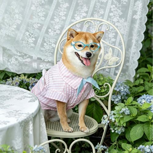 Ins Style Plaid Dog Shirt, Thin Pet Clothes for Spring & Summer