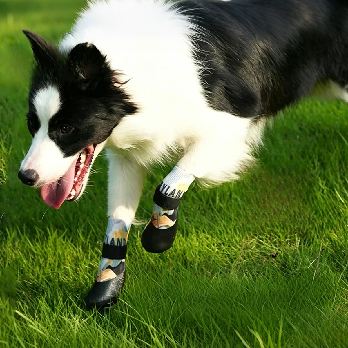 Printed Waterproof Dog Sock Boots With Adjustable Strap - Image 1