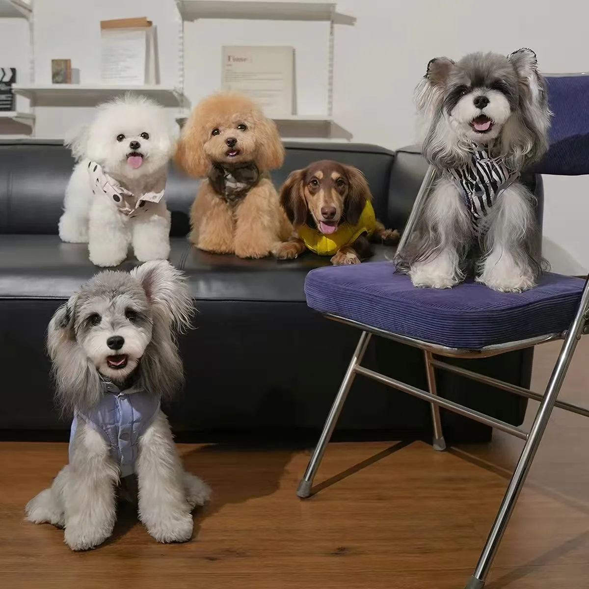 Puffy Reversible Padded Pet Coat - Image 2
