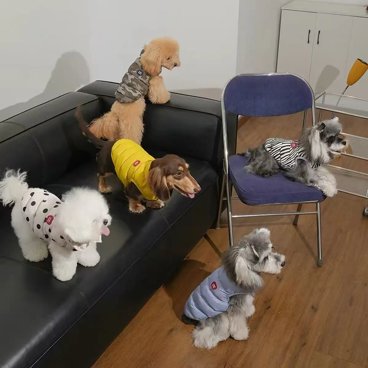 Puffy Reversible Padded Pet Coat - Image 3