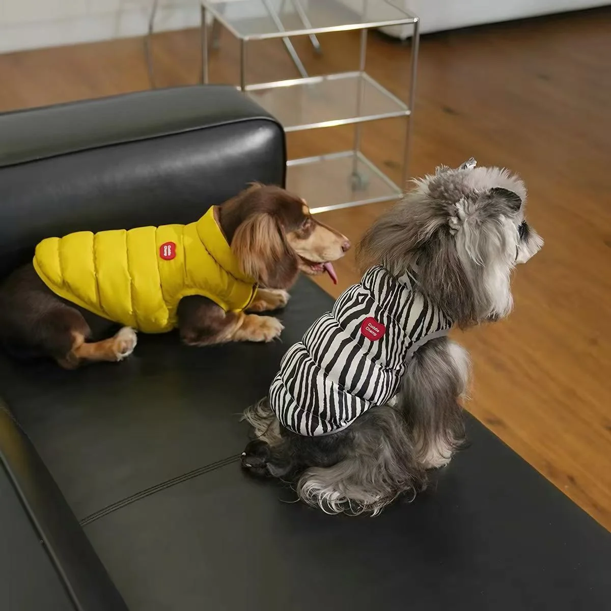 Puffy Reversible Padded Pet Coat - Image 4