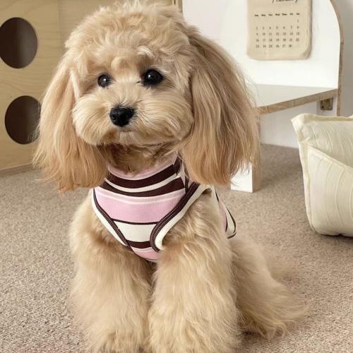 Striped Pet Tank Top Soft Cotton Sleeveless Vest