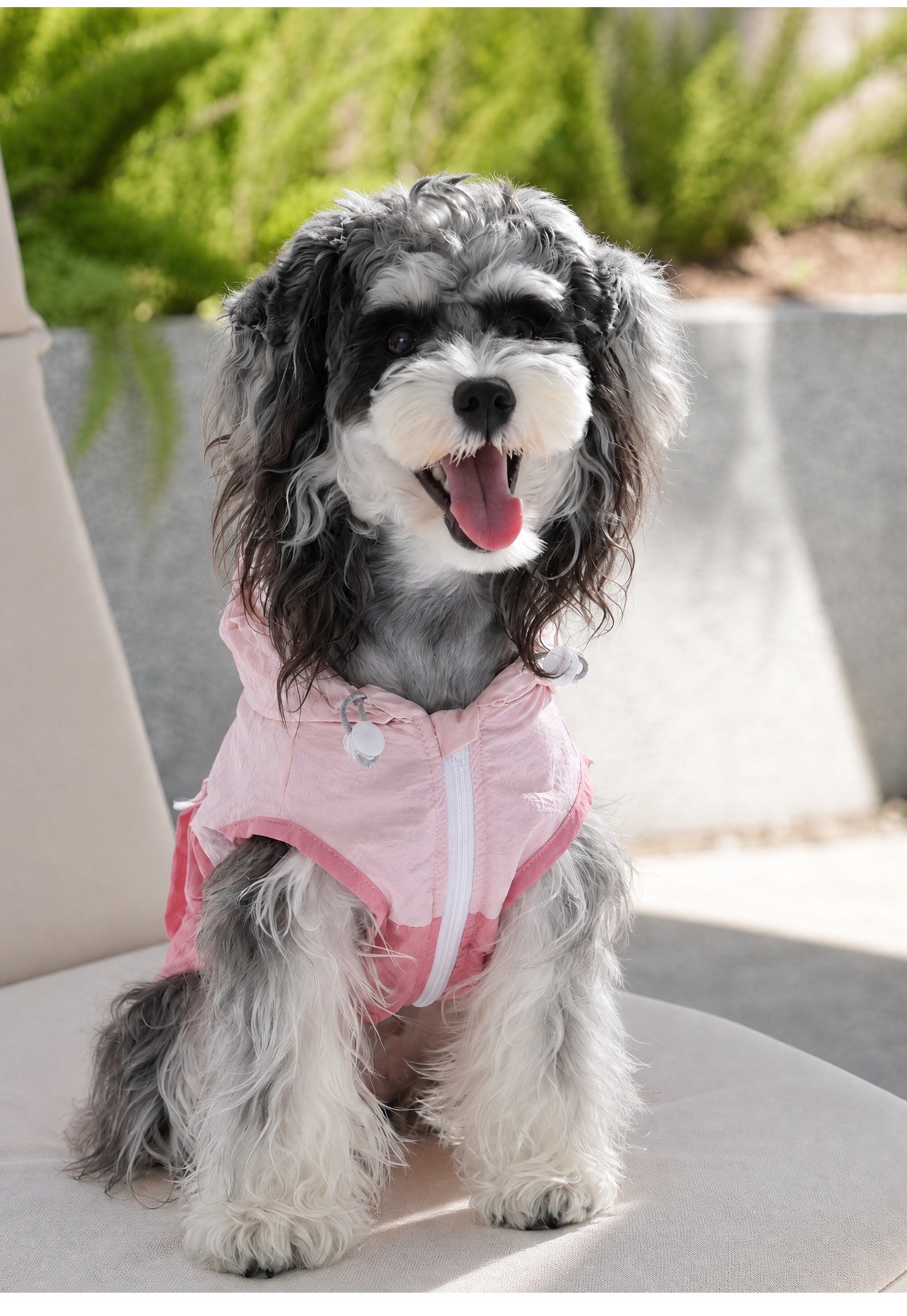 UPF50+ Lightweight Outdoor Dog Sun Protection Vest With D-ring Leash Hook