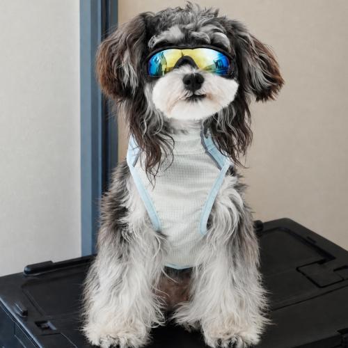 UPF70+ Breathable Dog Sunscreen Vest Outdoor UV Protection Pet Clothes