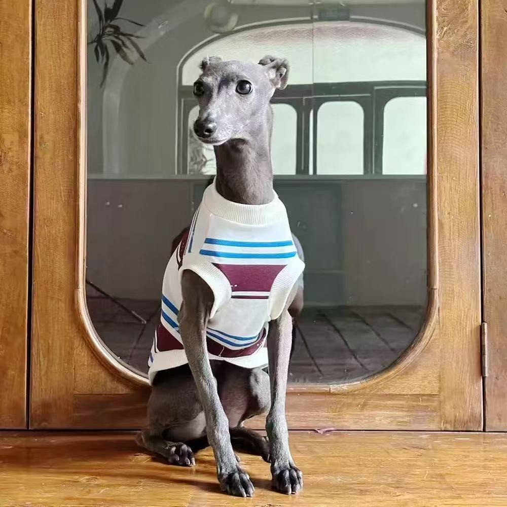 Vintage Stripe Knit Sleeveless Dog Vest Casual Pullover Top For Greyhound Whippet