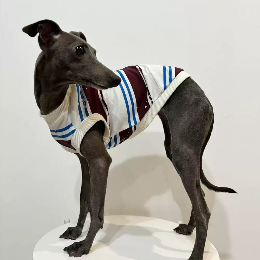 Vintage Stripe Knit Sleeveless Dog Vest Casual Pullover Top For Greyhound Whippet