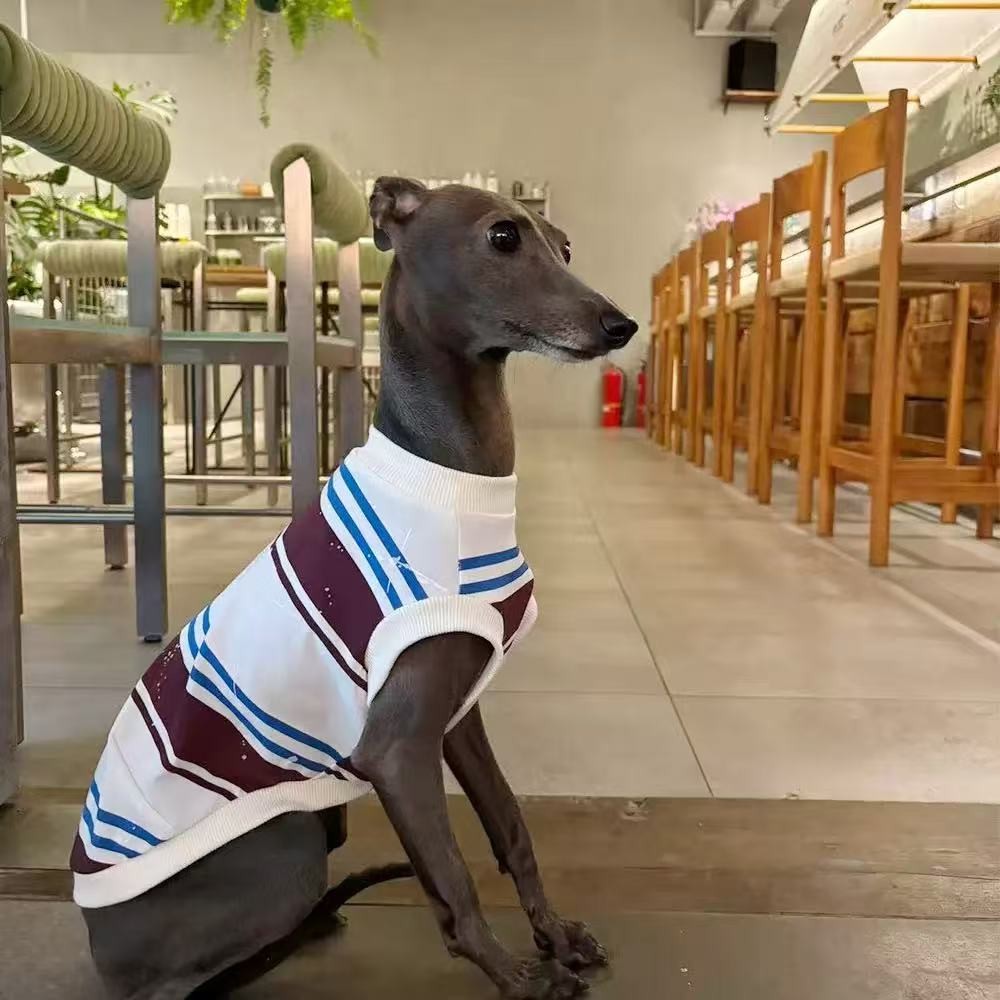 Vintage Stripe Knit Sleeveless Dog Vest Casual Pullover Top For Greyhound Whippet