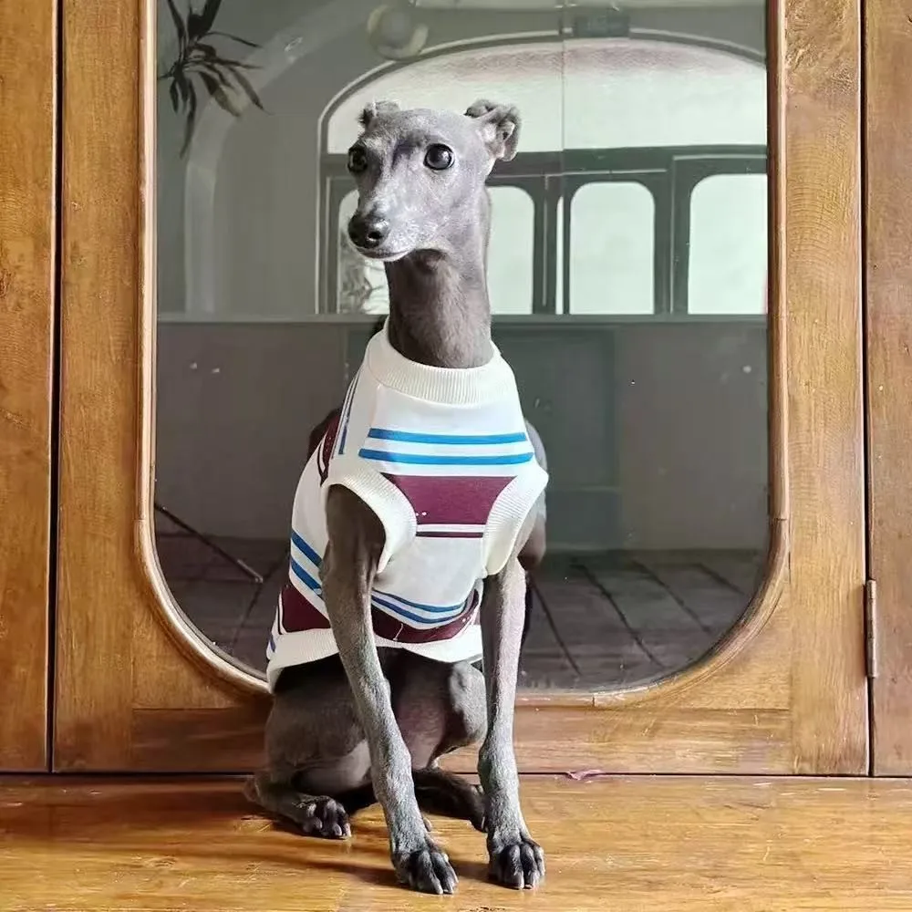 Vintage Stripe Knit Dog Sleeveless Vest - Image 1